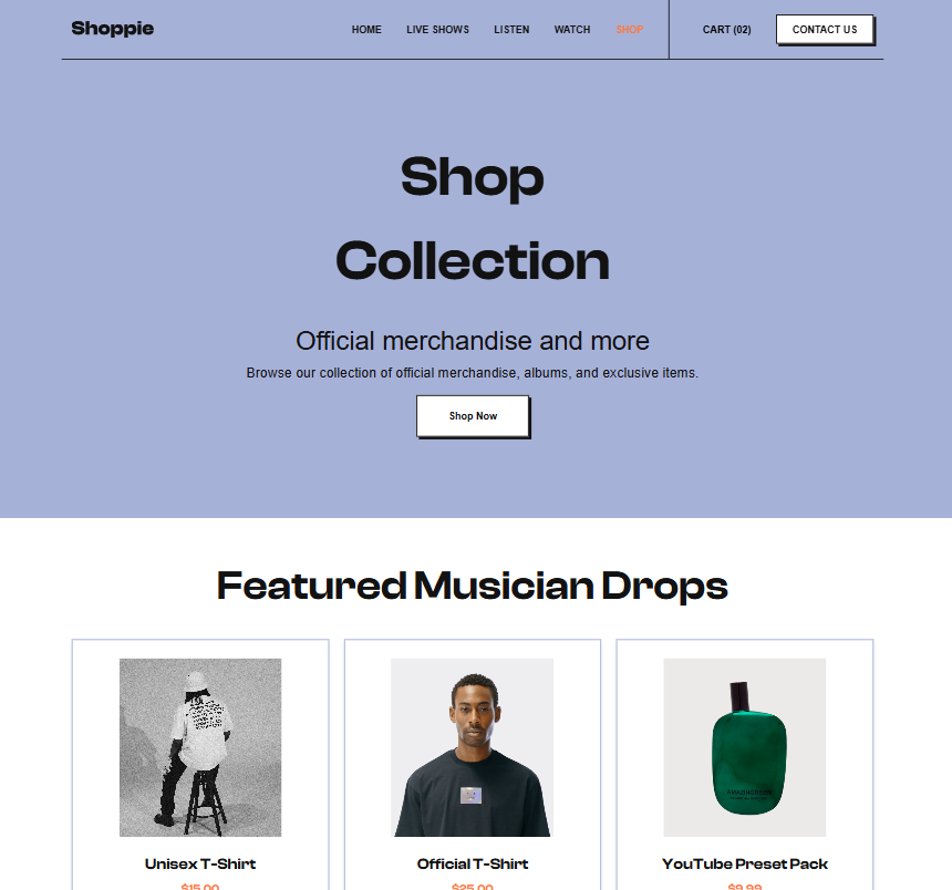 Project website for musician page shop